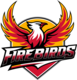 firebirdsbaseball