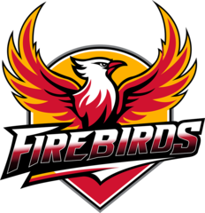 firebirdsbaseball